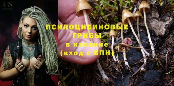 спиды Балахна