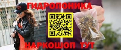 spice Камышлов