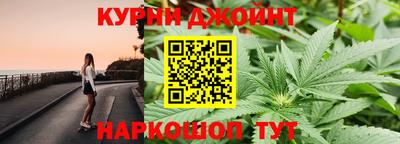 spice Камышлов