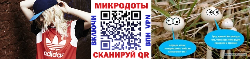 даркнет сайт  Усть-Джегута  Псилоцибиновые грибы прущие грибы 