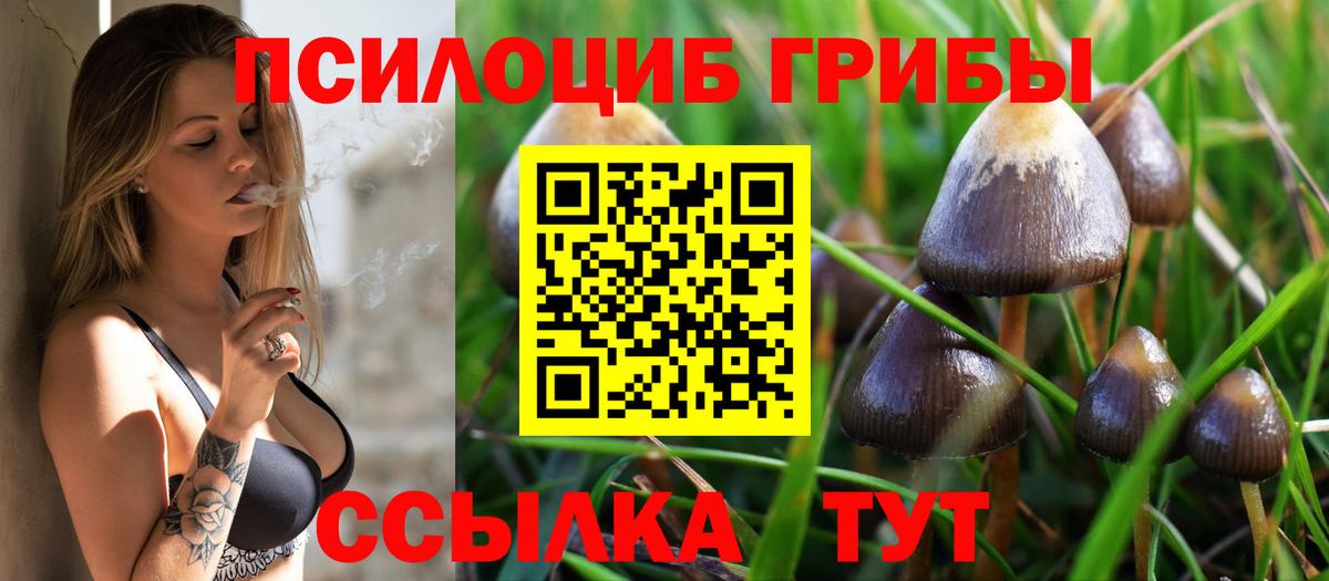 Усть-Джегута  Псилоцибиновые грибы ЛСД  Вход с VPN 